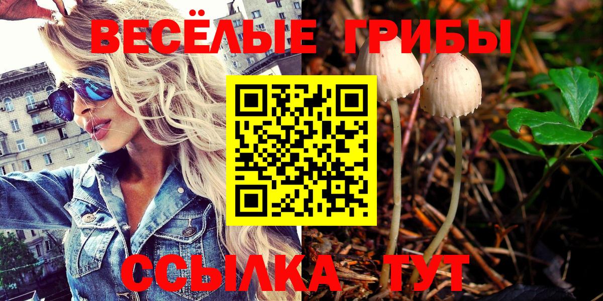 Галлюциногенные грибы ЛСД Слободской